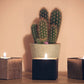 Customizable candle holders